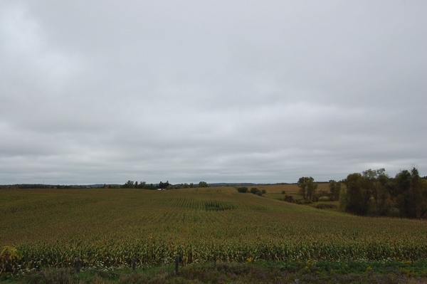 Luxury real estate and Country Homes for sale including horse farms and property in the Caledon and King City areas near Toronto